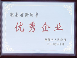 2007年湖南省衡陽市優(yōu)秀企業(yè).JPG