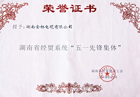 2010年度湖南省經(jīng)貿(mào)系統(tǒng)“無遺先鋒集體”.jpg