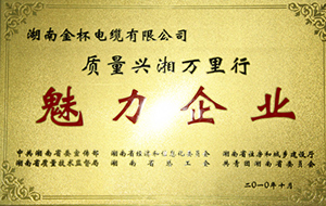 2010年度質(zhì)量興湘萬里行魅力企業(yè).JPG