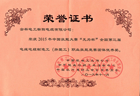 2015年度職業(yè)技能優(yōu)秀獎(jiǎng)證書.jpg