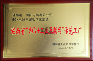 09 湖南省“5G+工業(yè)互聯(lián)網(wǎng)”示范工廠.JPG